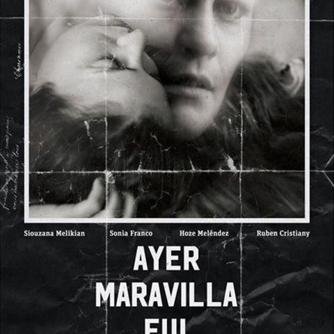 AydeeNowep_Poster_Pelicula_AyerMaravillaFui